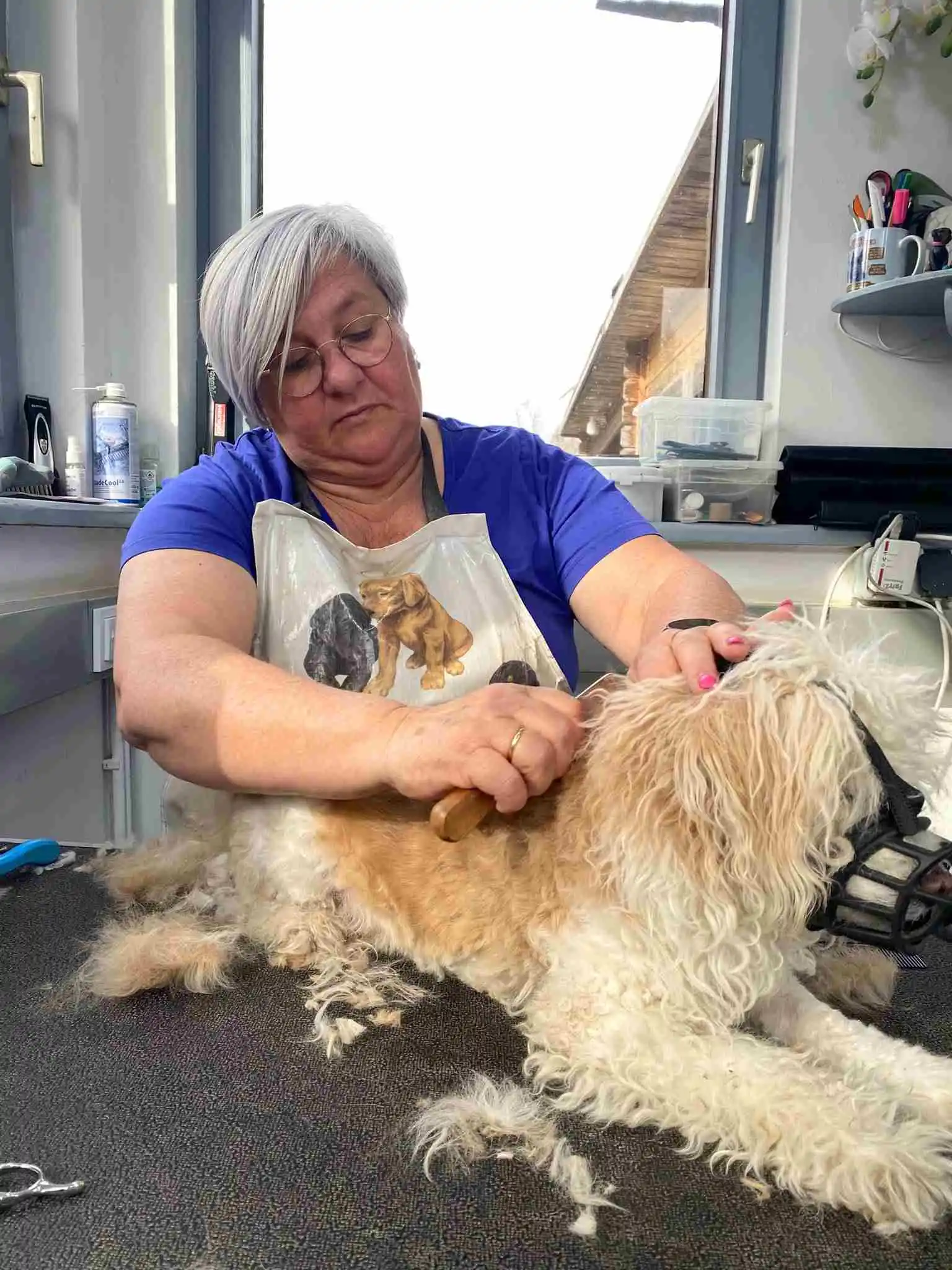 Marianne im Hundesalon Bad Tölz – professionelle Hundefriseurin bei der Fellpflege